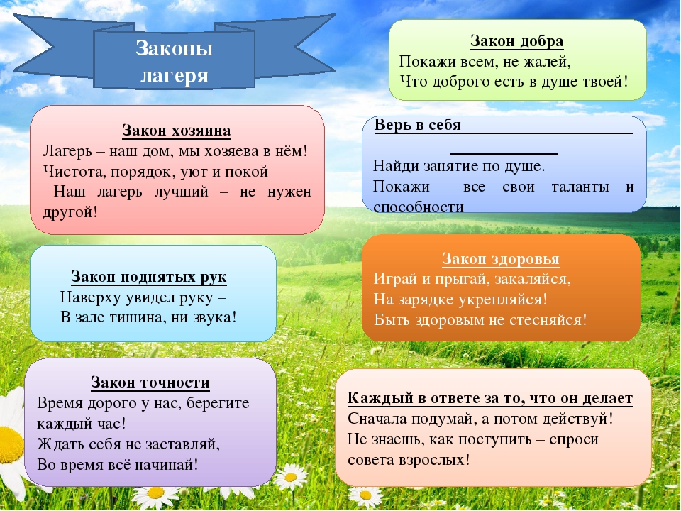 Правила поведения в пришкольном лагере дневного пребывания для детей презентация